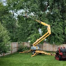 Best Commercial Tree Services  in USA